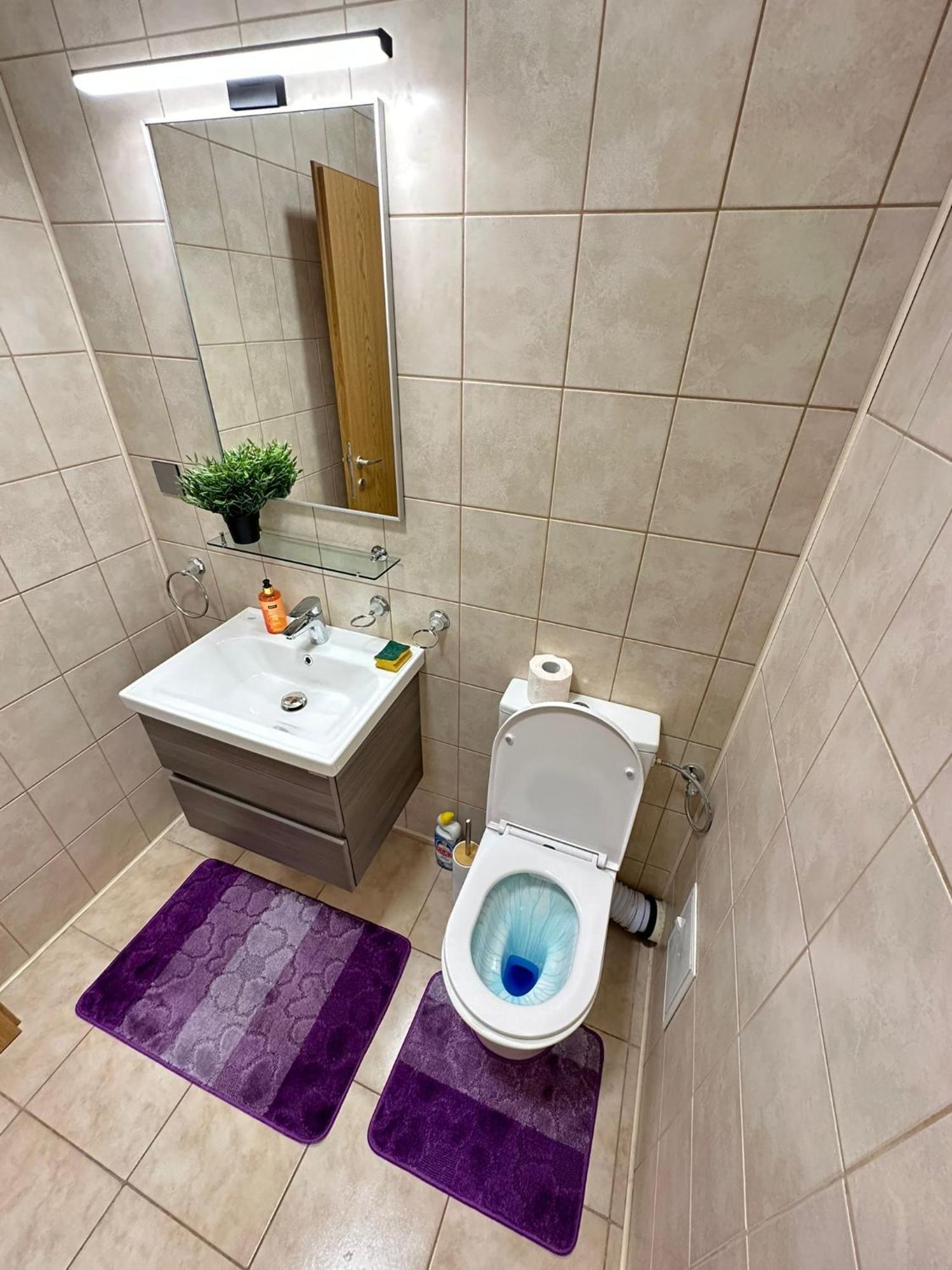 Centru Unirii Luxury Vip Palmier Apartament 2 Camere Cu Terasa Exterioara Amenajata ! Parcare Subterana Privata Climatizata Si Supravegheata Video Dar Doar Cu Rezervare In Limita Locurilor Disponibile !Proprietate In Regim Hoteliep - Nu Are Bucatarie Бухарест Екстер'єр фото