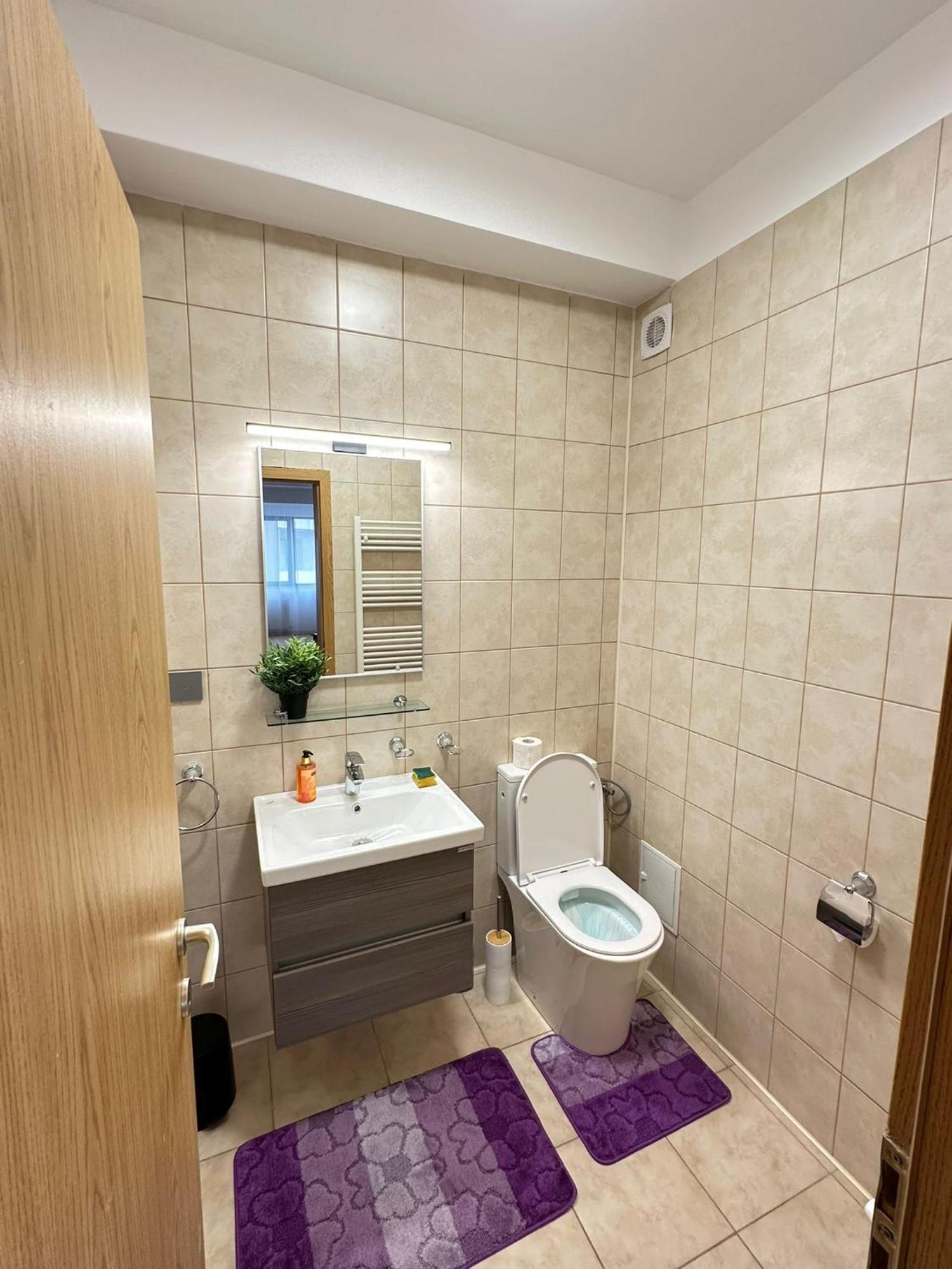 Centru Unirii Luxury Vip Palmier Apartament 2 Camere Cu Terasa Exterioara Amenajata ! Parcare Subterana Privata Climatizata Si Supravegheata Video Dar Doar Cu Rezervare In Limita Locurilor Disponibile !Proprietate In Regim Hoteliep - Nu Are Bucatarie Бухарест Екстер'єр фото